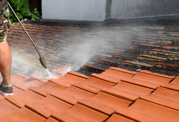 Best Pressure Washing Company Near Me  in Sparta, NC